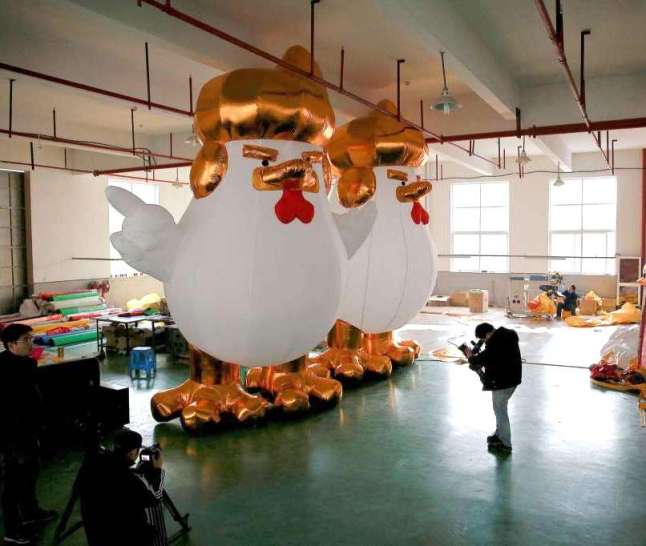 Trump chicken production